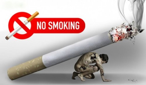 Các loại thuốc lá truyền thống hiện nay được sử dụng phổ biến nhất